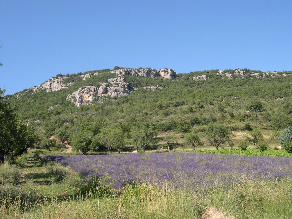 Domaine De Bois Joli Villa บุยส์-เลส์-บาโรนนีส์ ภายนอก รูปภาพ